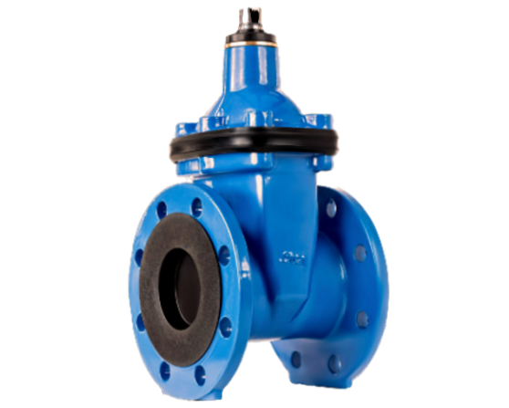 Ductile Iron Gate Valve with bare stem 1 1